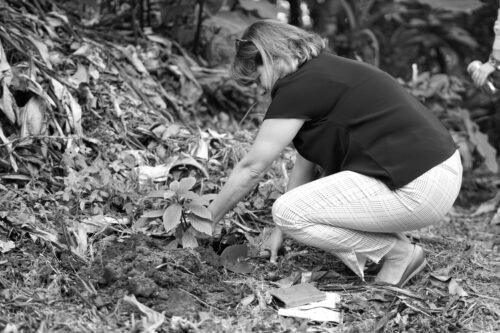 Resiliencia alimentaria