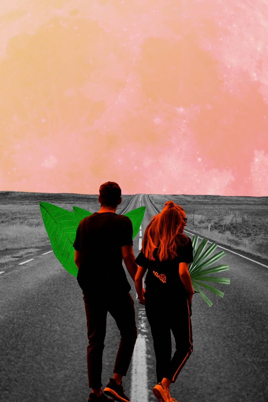 Horizontes especulativos