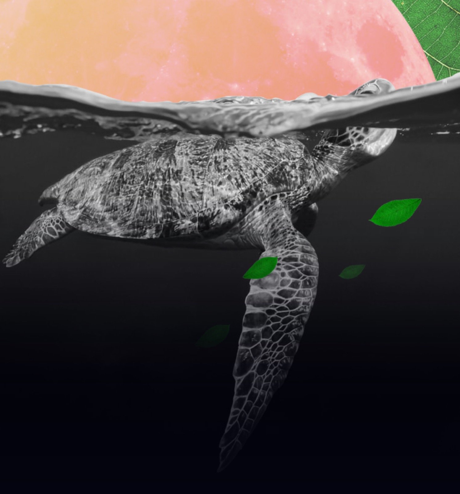 Océano, naturaleza como material