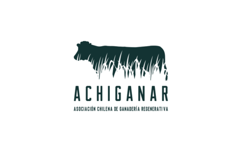 Logo aliado Campo Vivo: ganadería regenerativa en Los Ríos