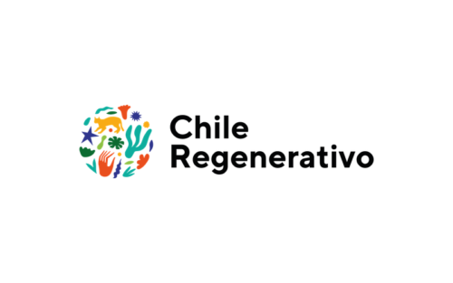 Logo aliado Campo Vivo: ganadería regenerativa en Los Ríos