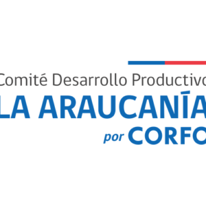 Logo aliado Naturaleza Creadora